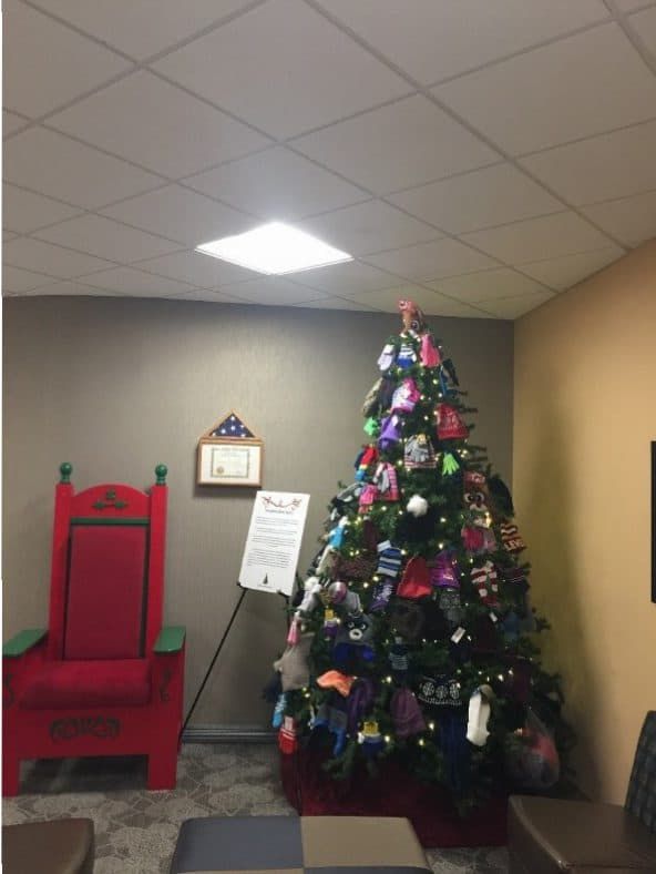 The Sycamore Giving Tree 2018