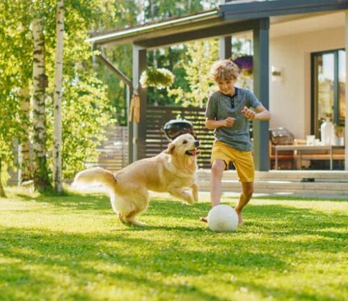 Young Boy Plays Soccer with Happy Golden Retriever Dog at the Backyard Lawn. He Plays Football and Has Lots of Fun with His Loyal Doggy Friend. Idyllic Summer House.