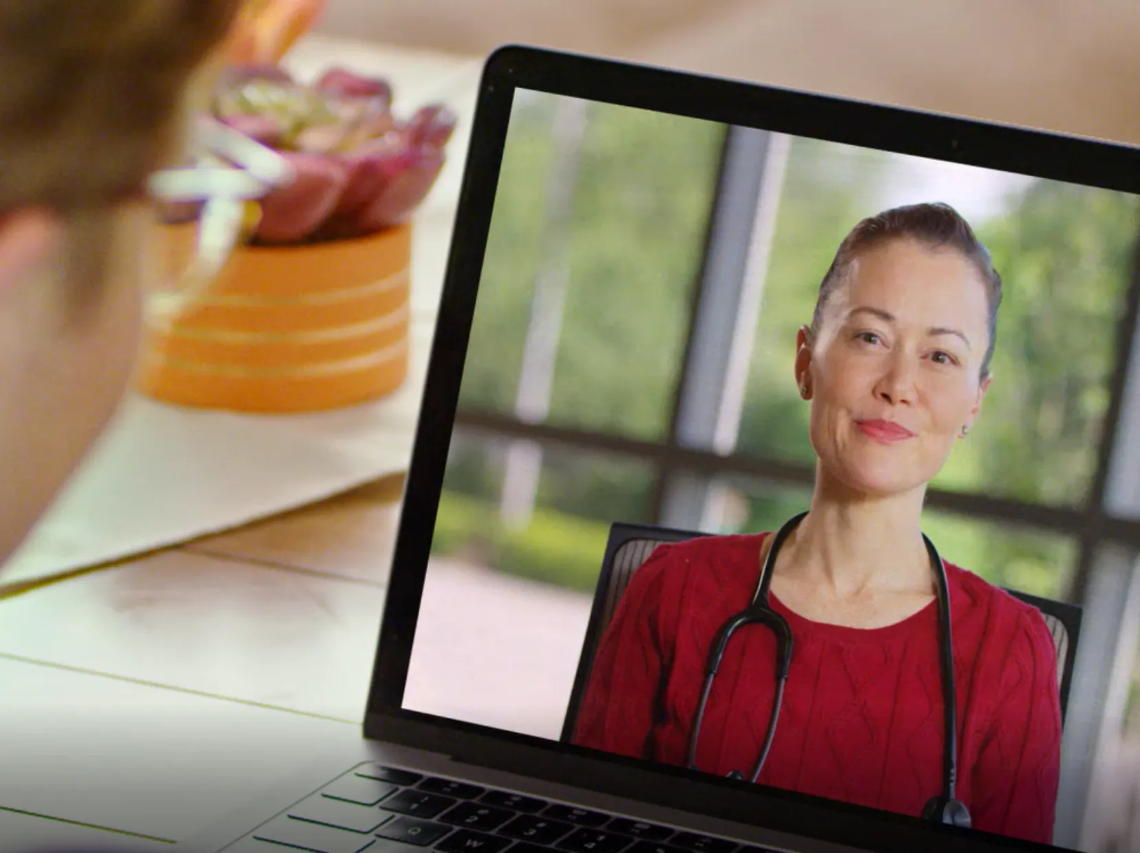 Telehealth Visit
