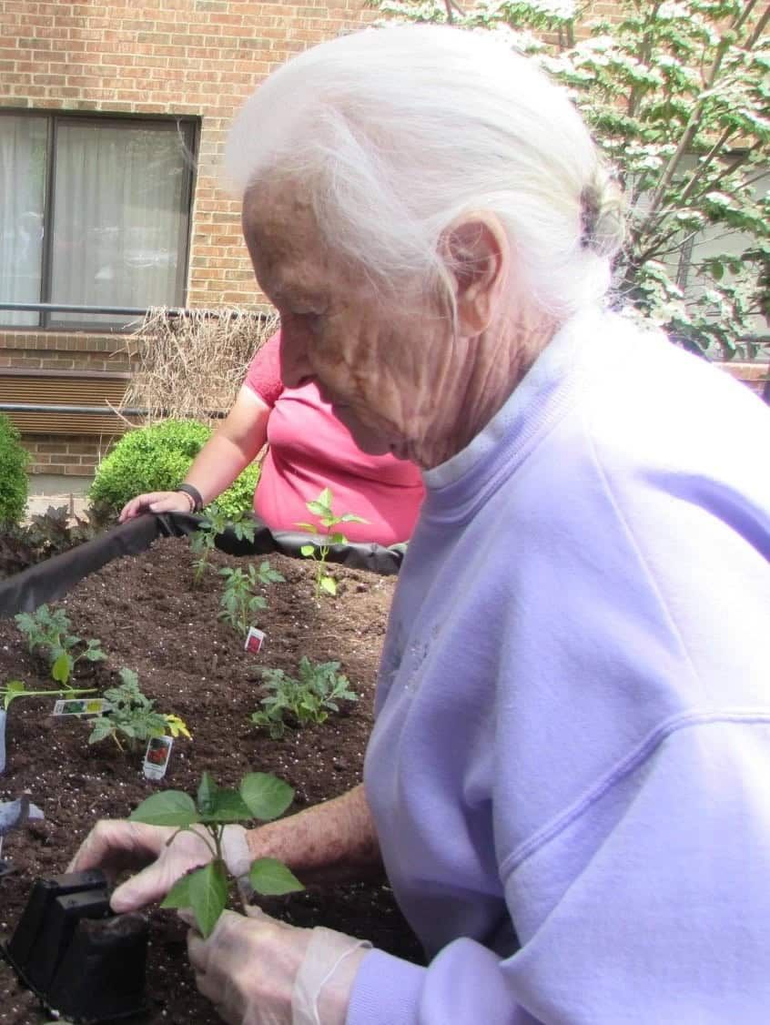 Women gardening