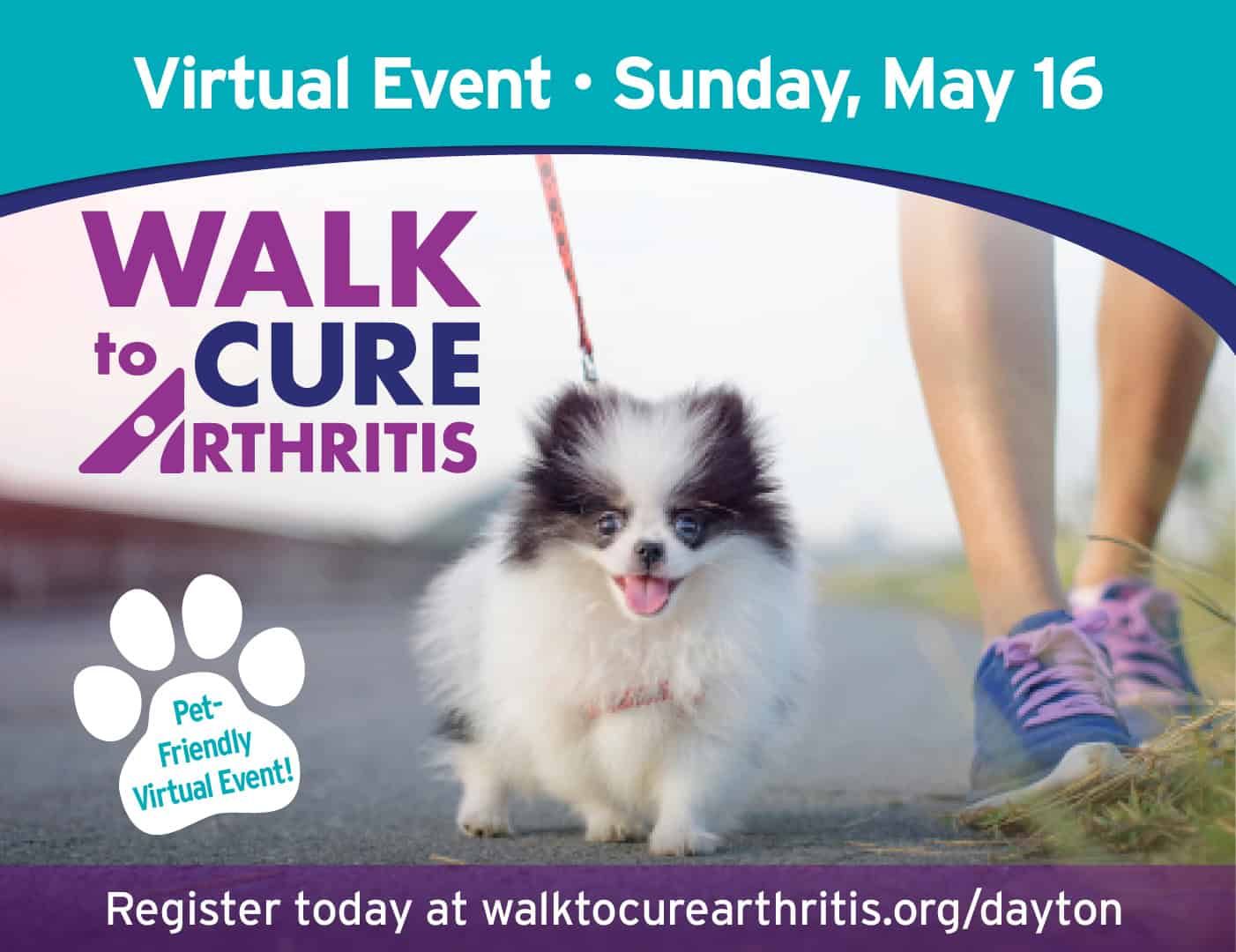 Walk to Cure Arthritis virtual event May 16, featuring small dog walking with owner
