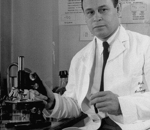 Doctor in white lab coat working with microscope in medical laboratory