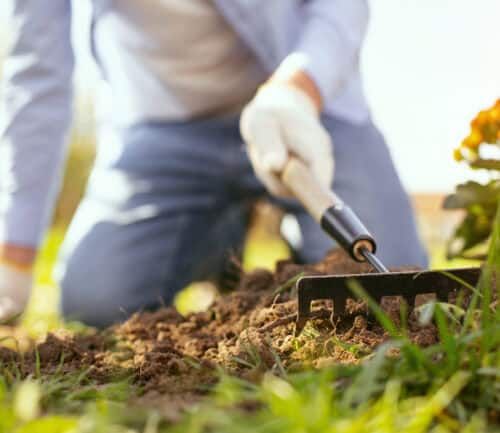 Person using small hand rake to cultivate soil in garden bed