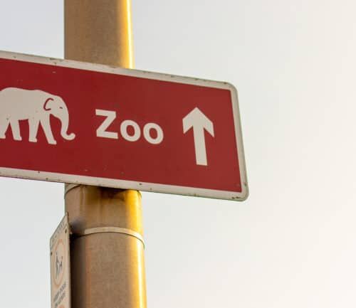 Red directional sign with elephant icon pointing to zoo entrance