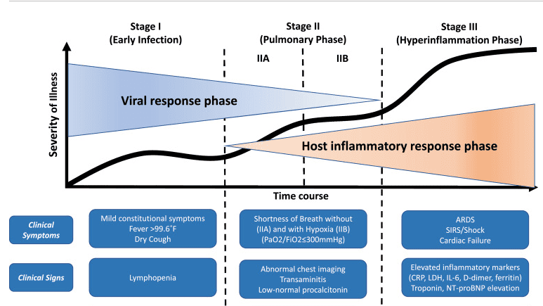 COVID-19 disease progression chart showing three stages with viral response and inflammatory phases