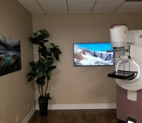 Modern mammography machine in calming medical room with nature artwork and plant