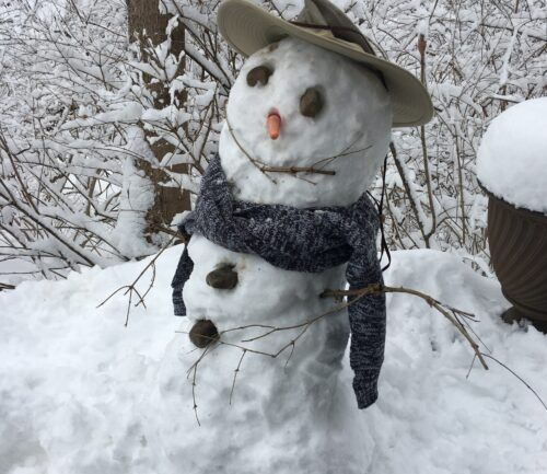 Snowman wearing olive hat and gray scarf in snowy winter forest setting