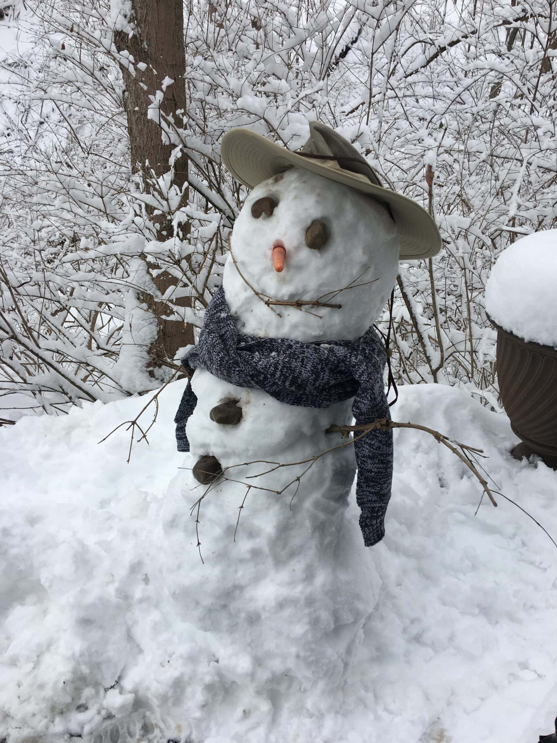 Snowman wearing olive hat and gray scarf in snowy winter forest setting