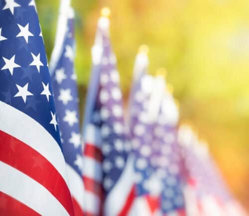 American flags in a row with soft golden sunlight background
