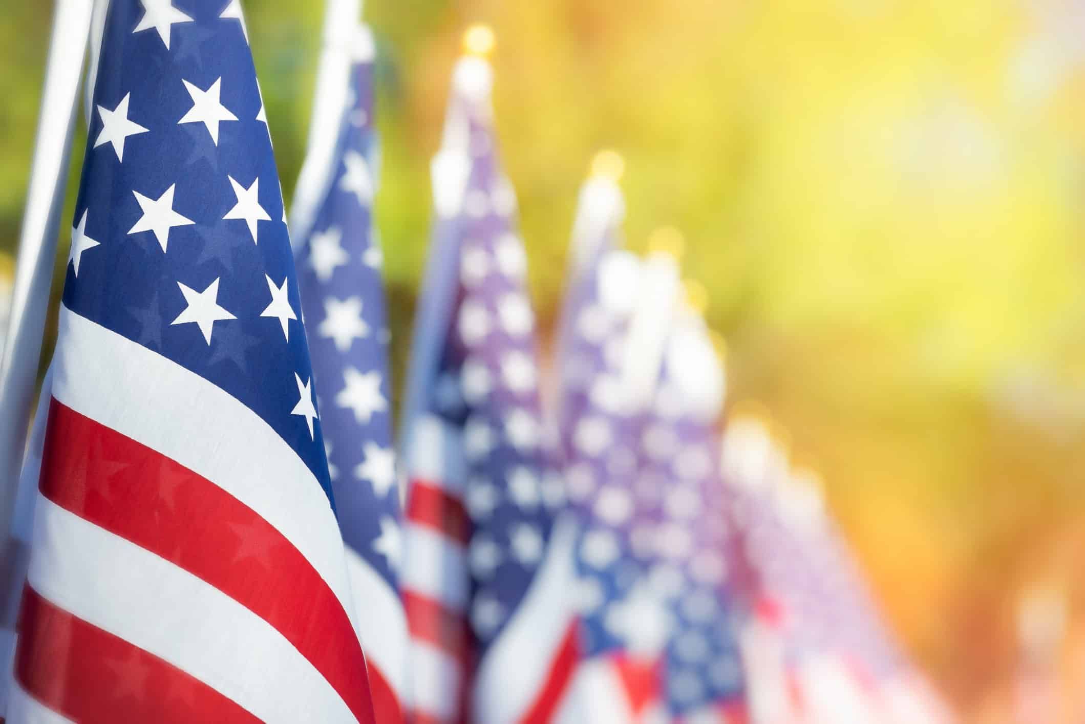 American flags in a row with soft golden sunlight background