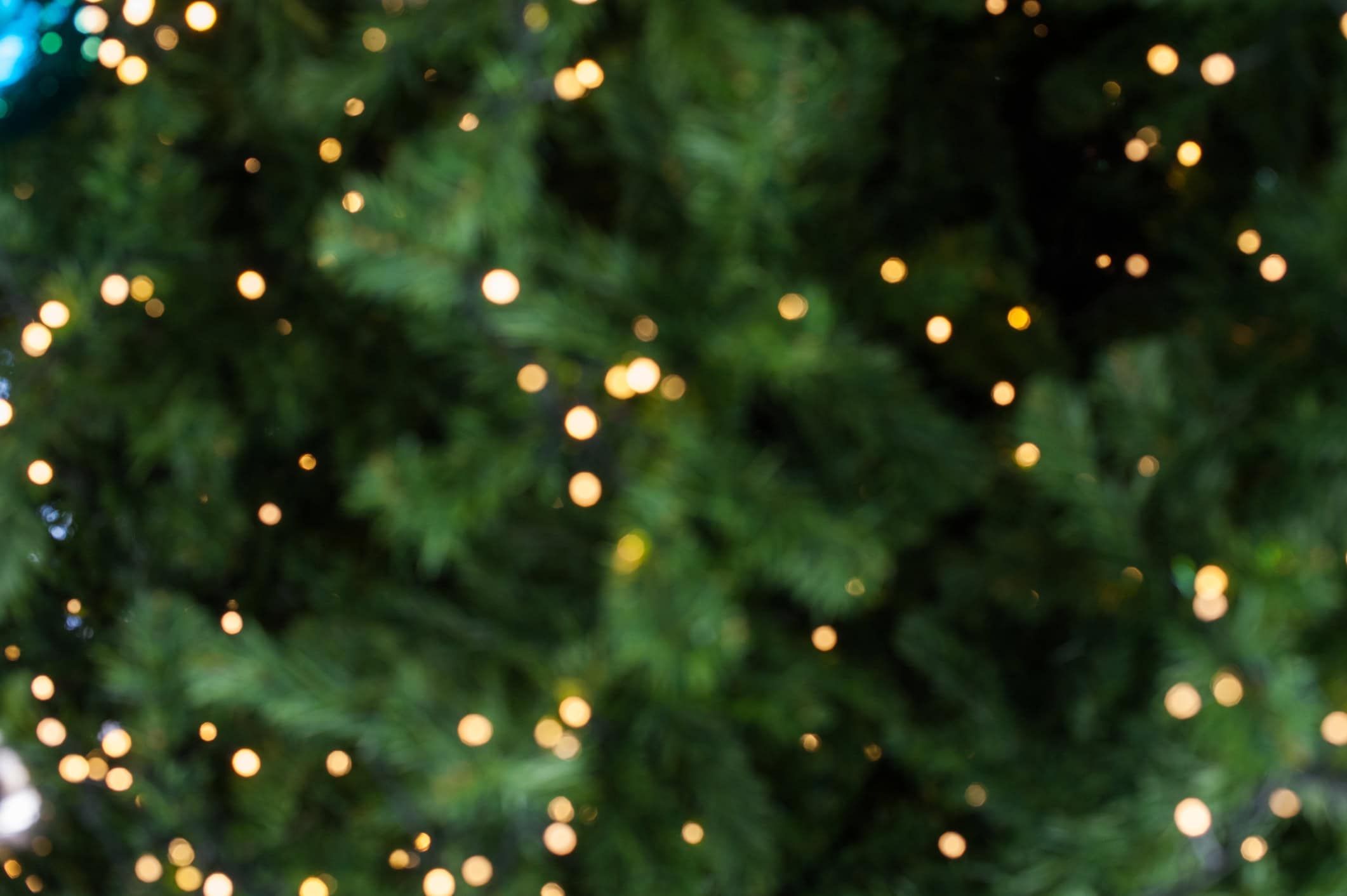 Blurred Christmas tree with warm golden bokeh lights creating festive holiday atmosphere