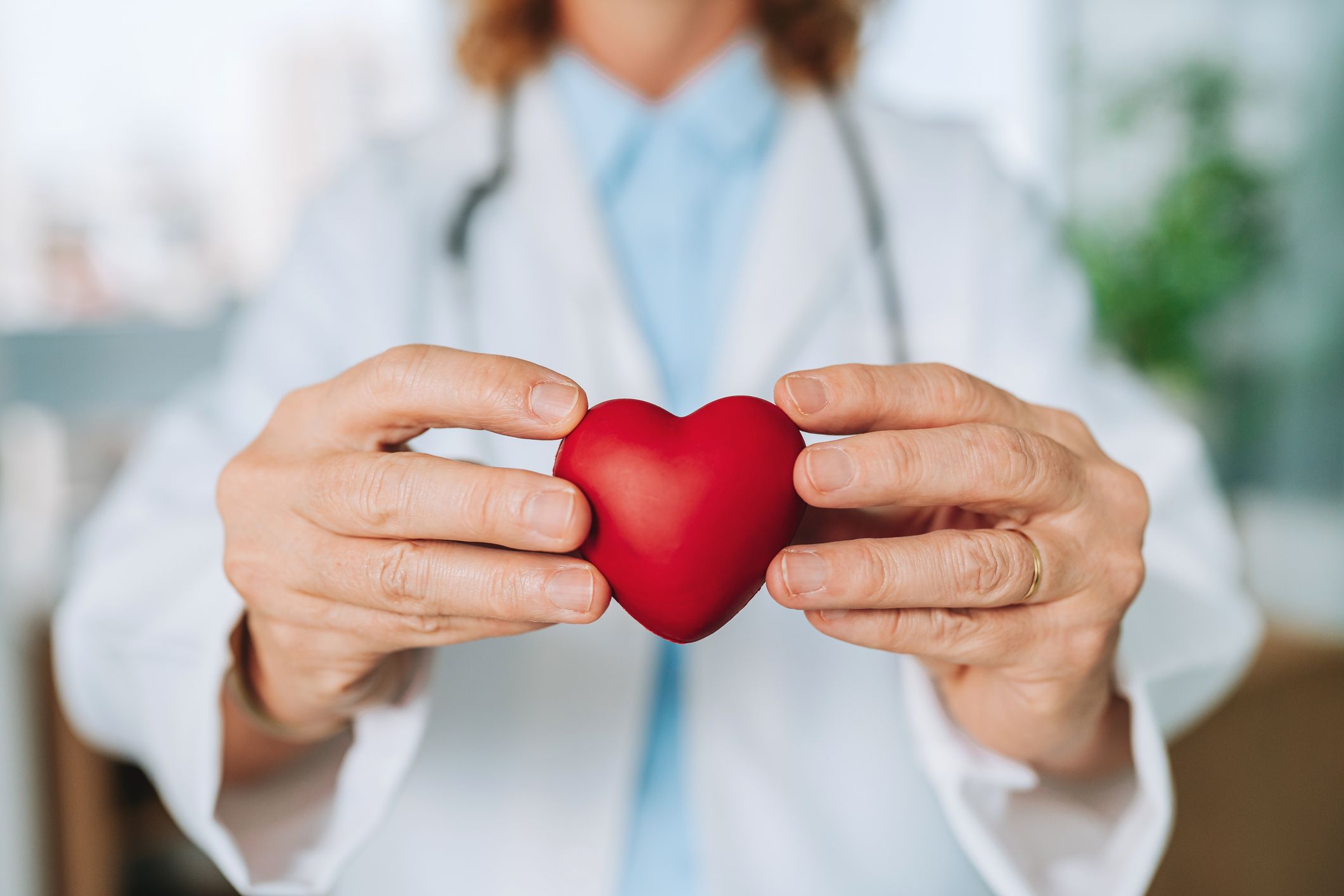 A doctor holding a red heart