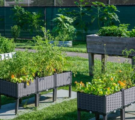 KHBMC Garden