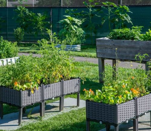 KHBMC Garden