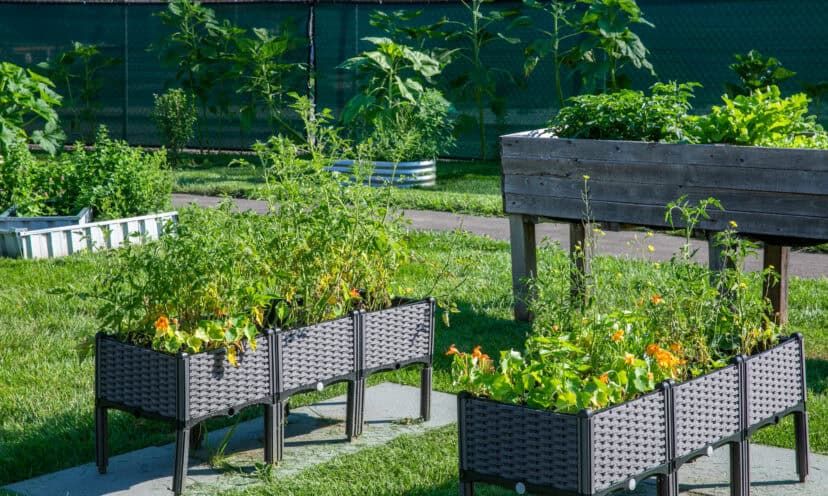 KHBMC Garden