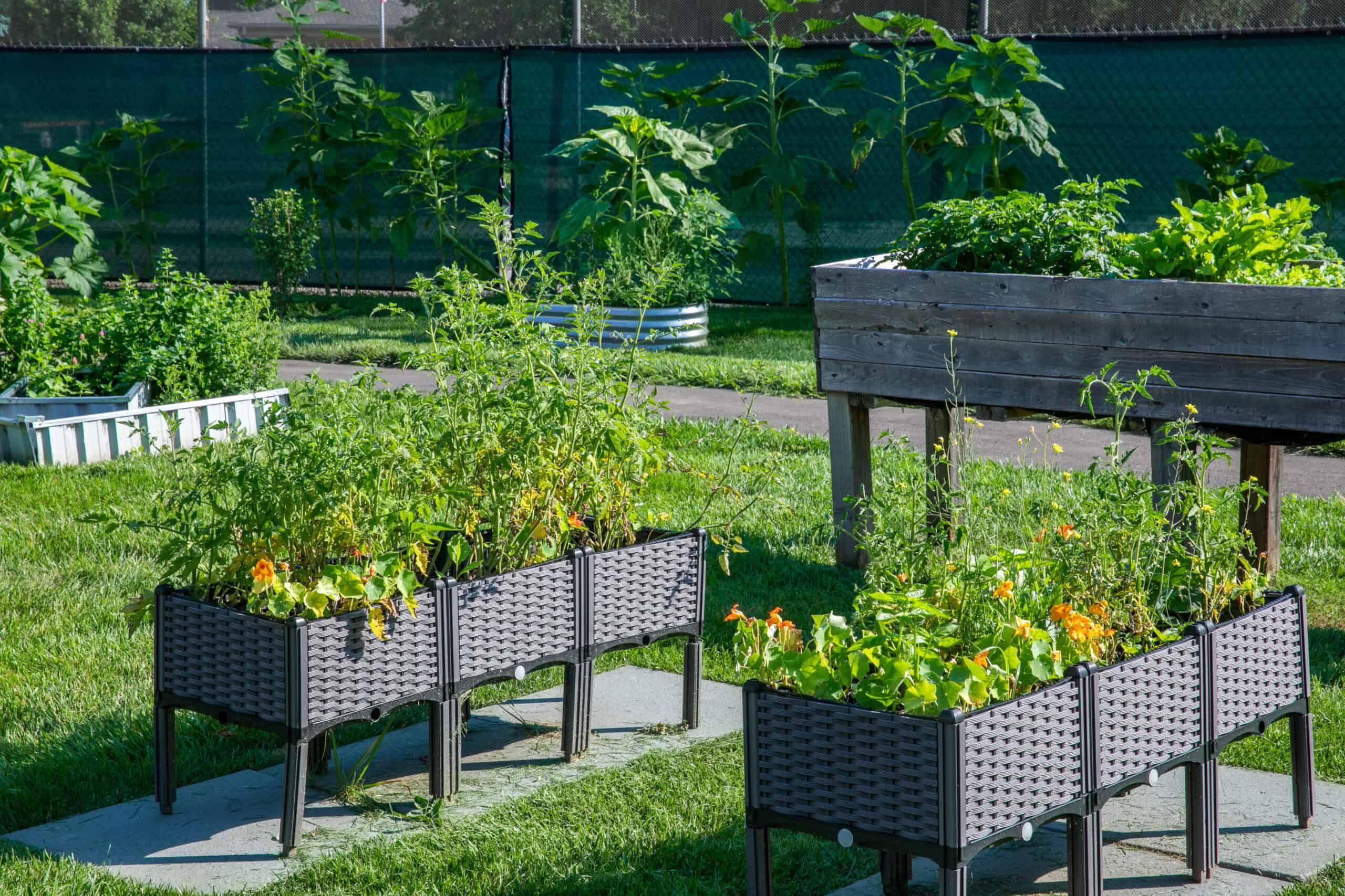 KHBMC Garden