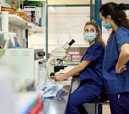 Side view of veterinary technicians in scrubs and protective face masks working together in animal hospital laboratory.