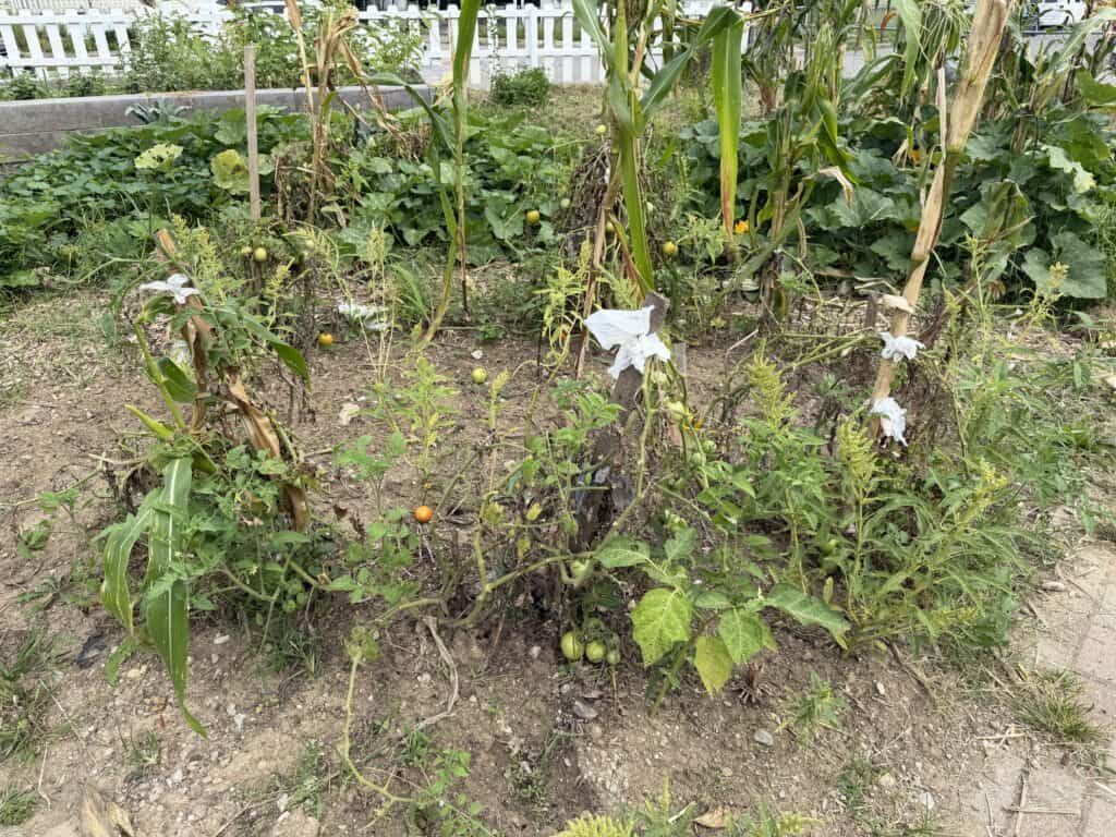 Unity Garden at Kettering Health Dayton