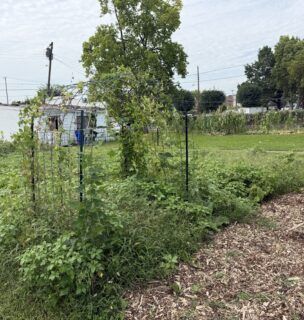 Unity Garden at Kettering Health Dayton