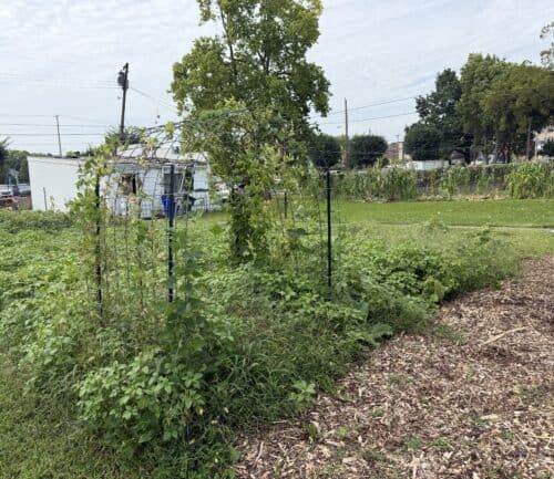 Unity Garden at Kettering Health Dayton
