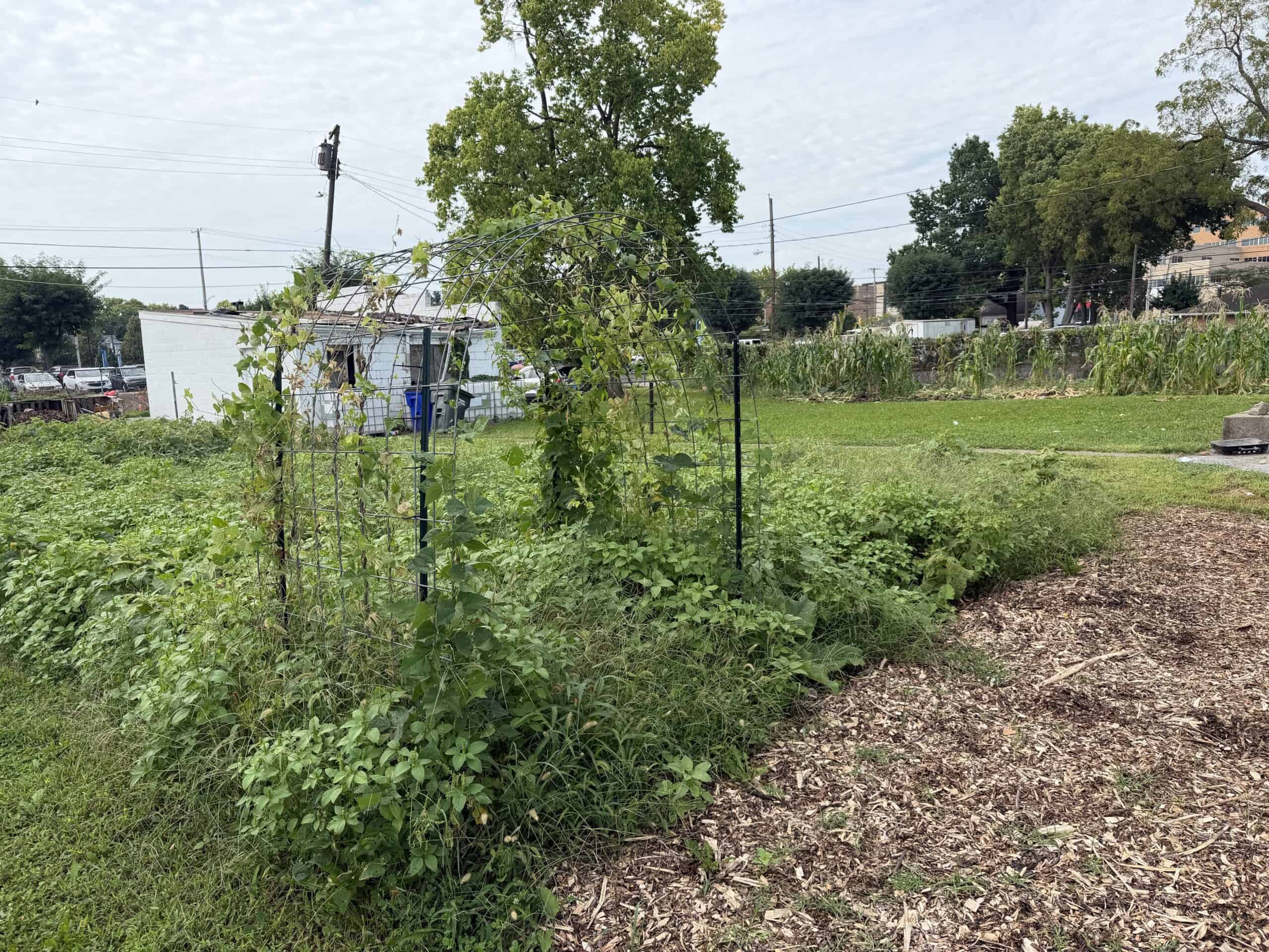 Unity Garden at Kettering Health Dayton