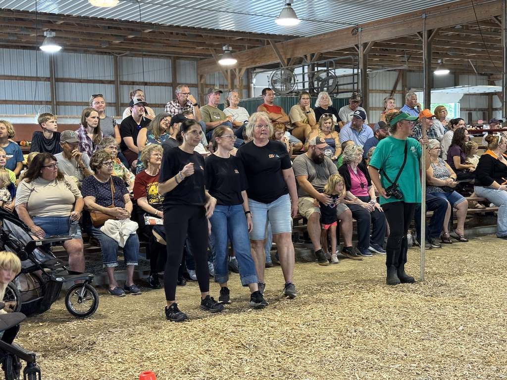 Corn Olympics in Clinton County, 2026.